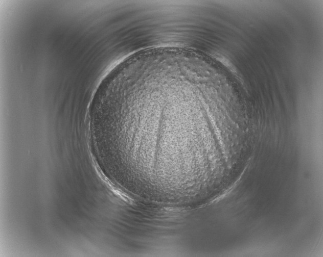 X0000061760933200512161739