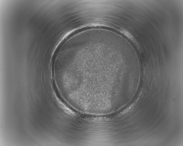 X0000061760934200512161739