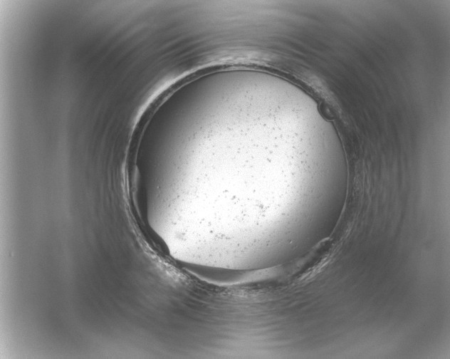 X0000061760936200512161739