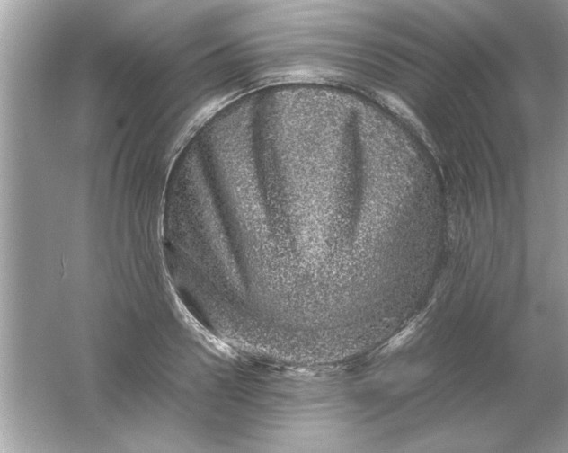 X0000061760938200512161739