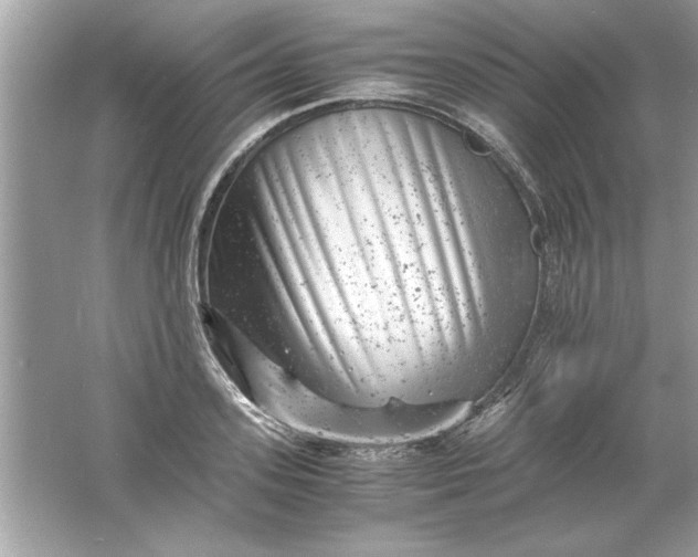 X0000061760939200512161739