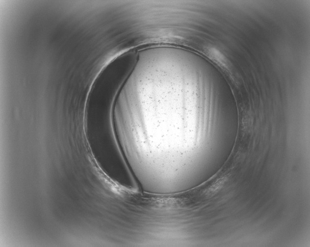 X0000061760940200512161739