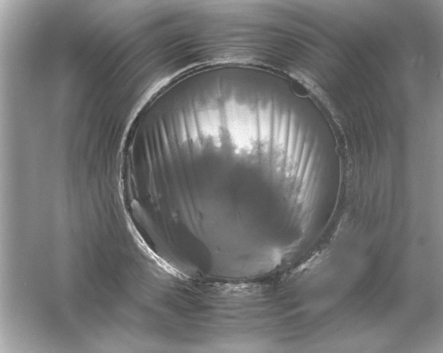 X0000061760941200512161740