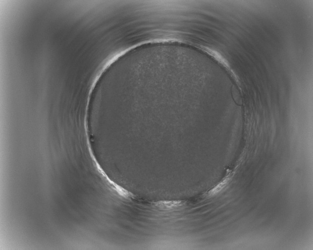 X0000061760943200512161740