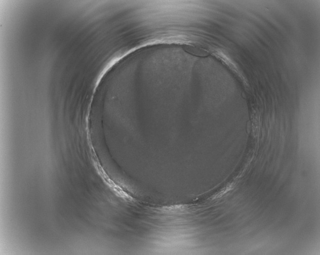 X0000061760944200512161740