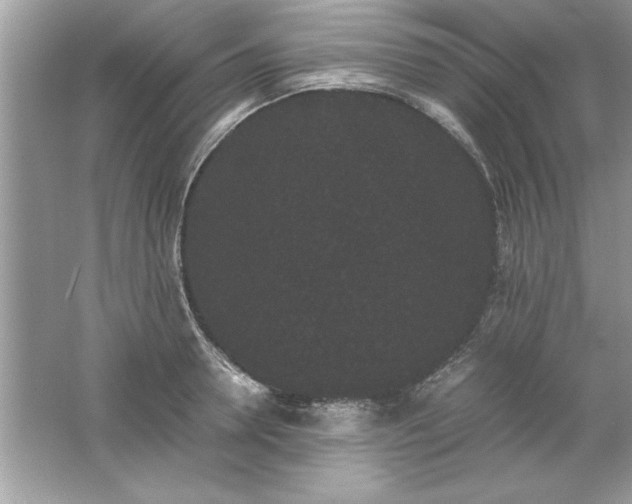 X0000061760946200512161740