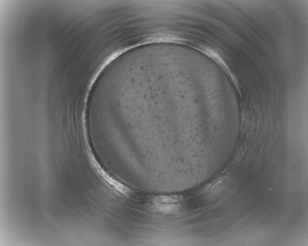 X0000061760947200512161740