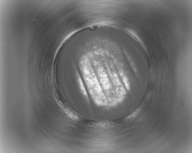 X0000061760948200512161740