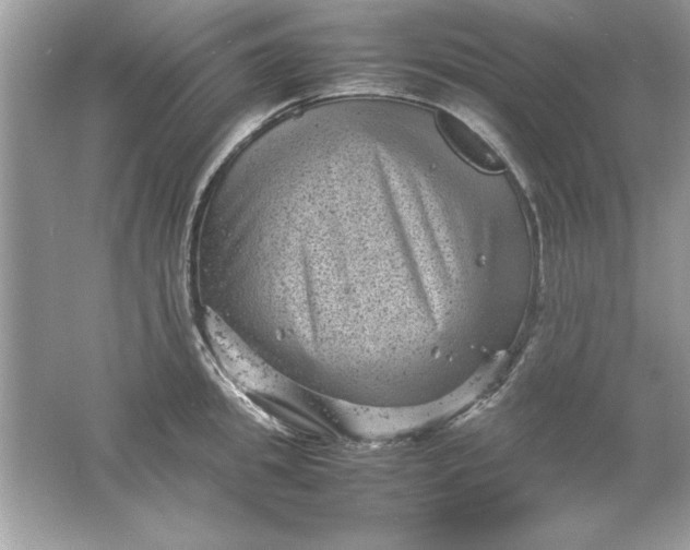 X0000061760949200512161740