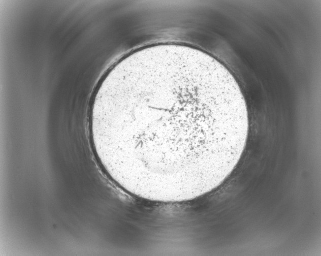 X0000061760950200512161740