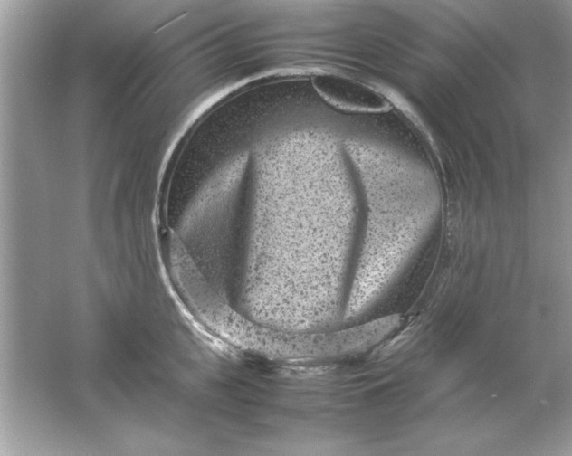 X0000061760951200512161740