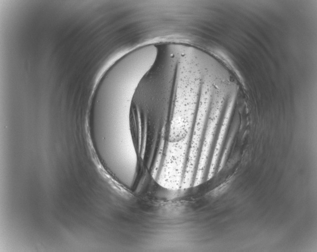 X0000061760952200512161740