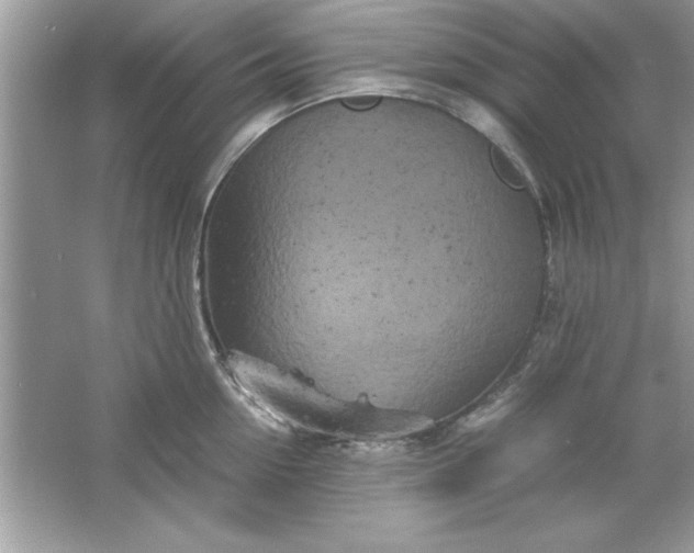 X0000061760954200512161740