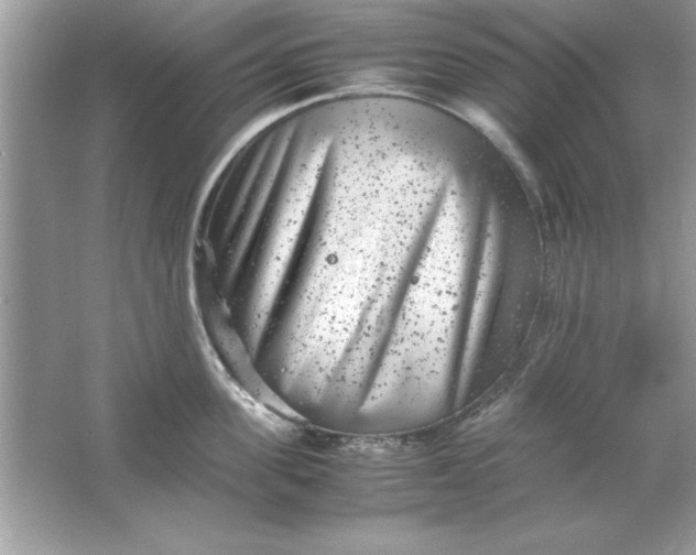 X0000061760955200512161740