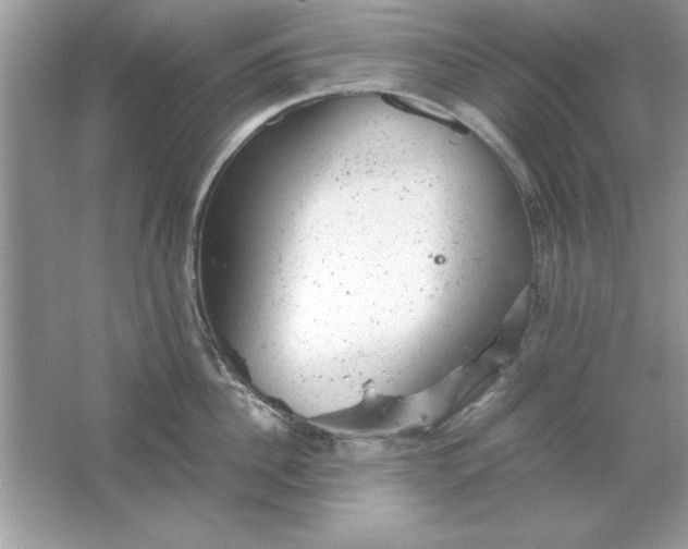 X0000061760956200512161740