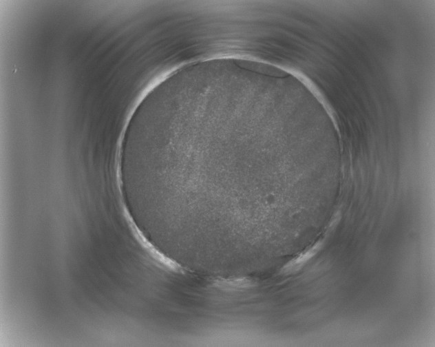 X0000061760957200512161740