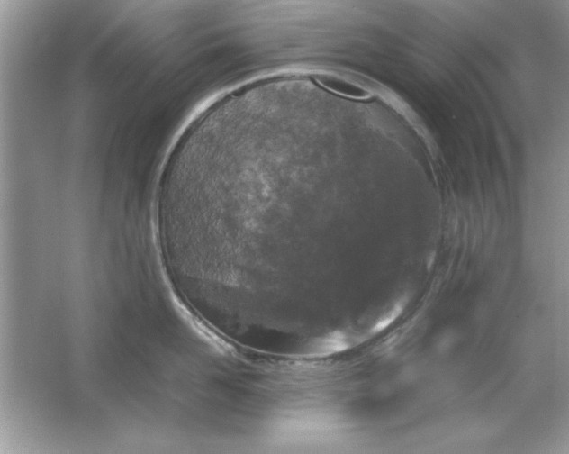 X0000061760958200512161740