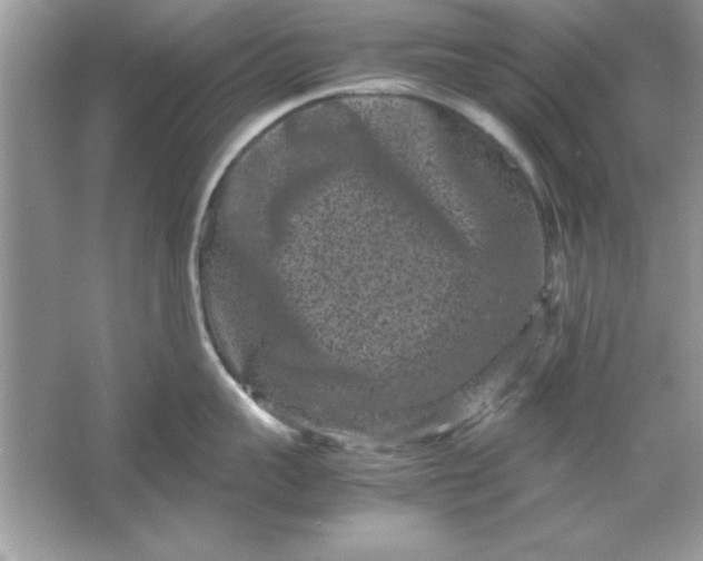 X0000061760959200512161740