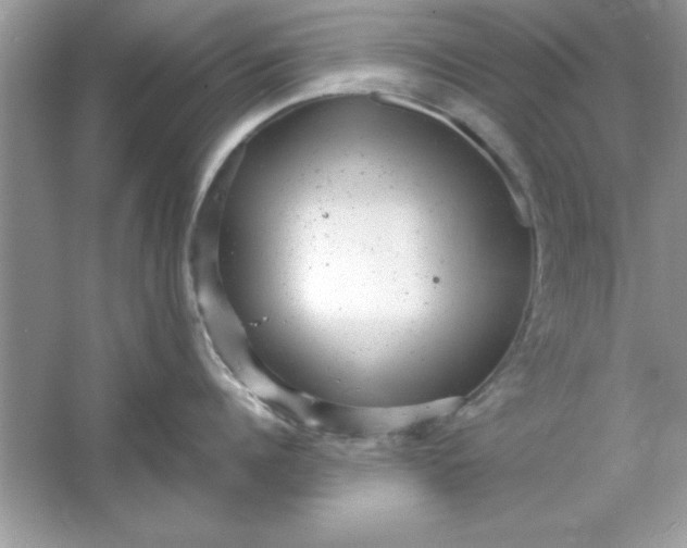 X0000061760960200512161740