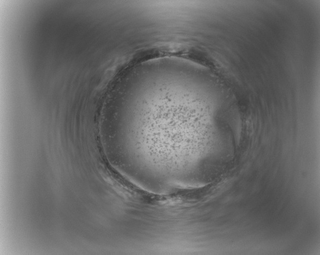 X0000061760961200512161739