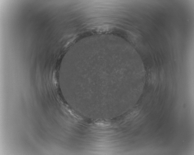 X0000061760962200512161739