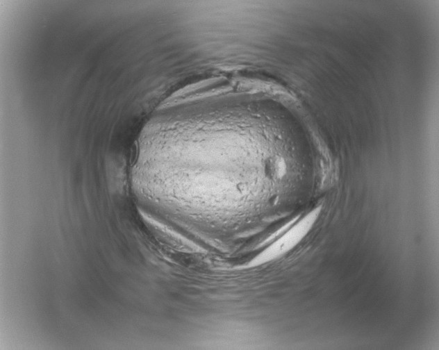 X0000061760963200512161739