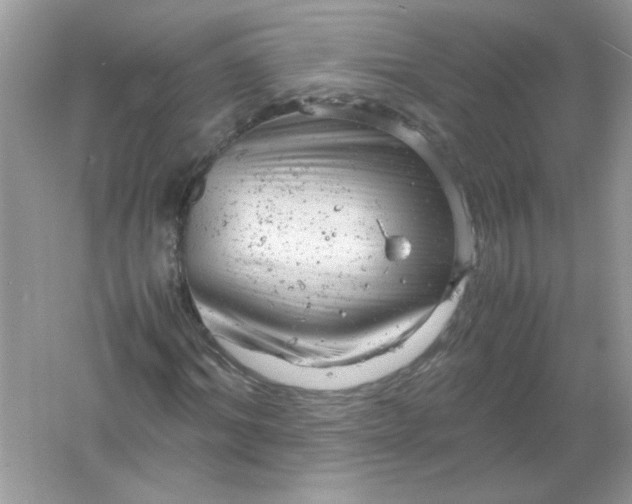 X0000061760964200512161739