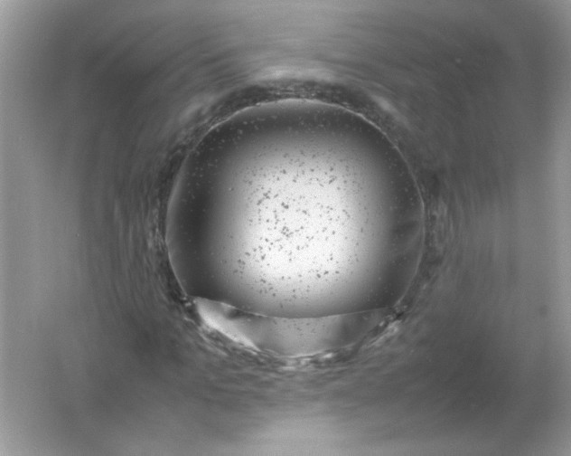 X0000061760965200512161739