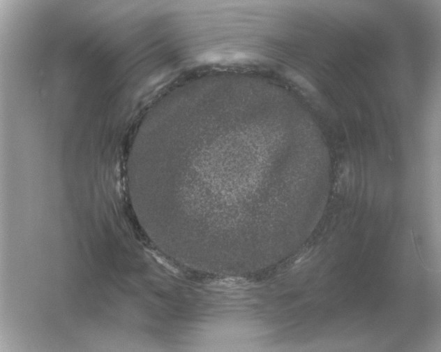 X0000061760966200512161739