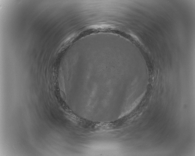 X0000061760967200512161739