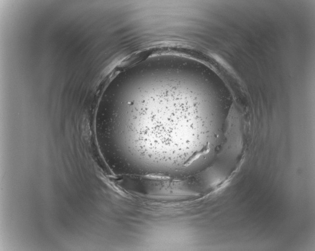 X0000061760969200512161739