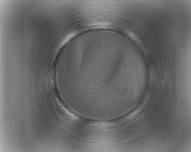 X0000061760970200512161739