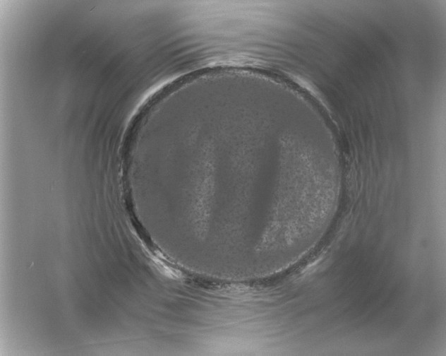 X0000061760971200512161739