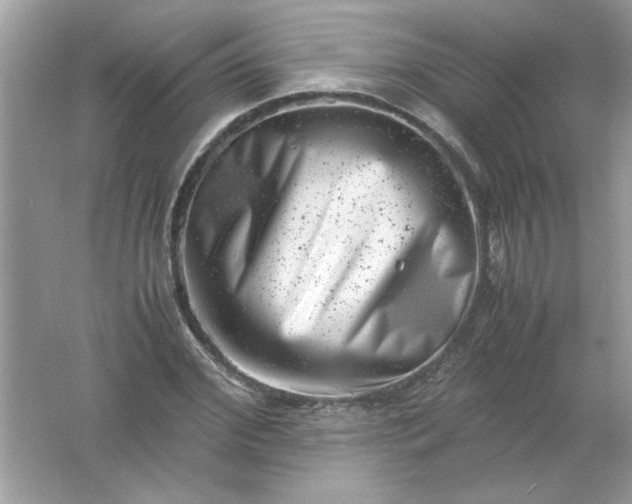 X0000061760972200512161739