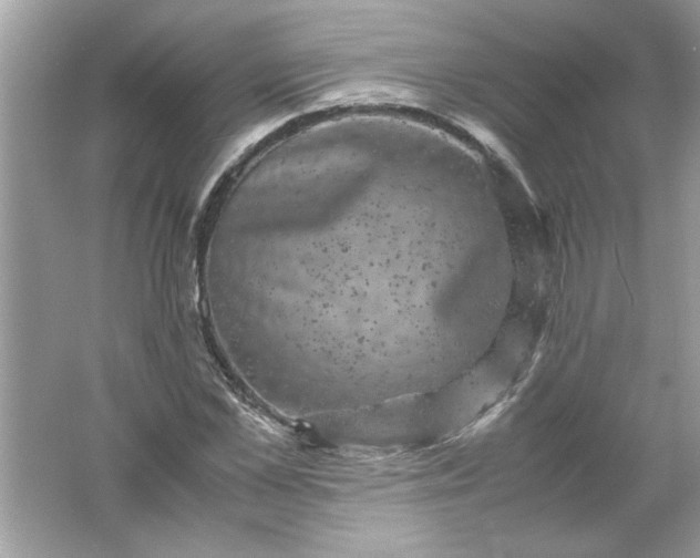 X0000061760973200512161739