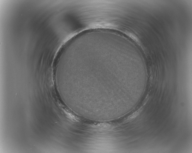 X0000061760974200512161739