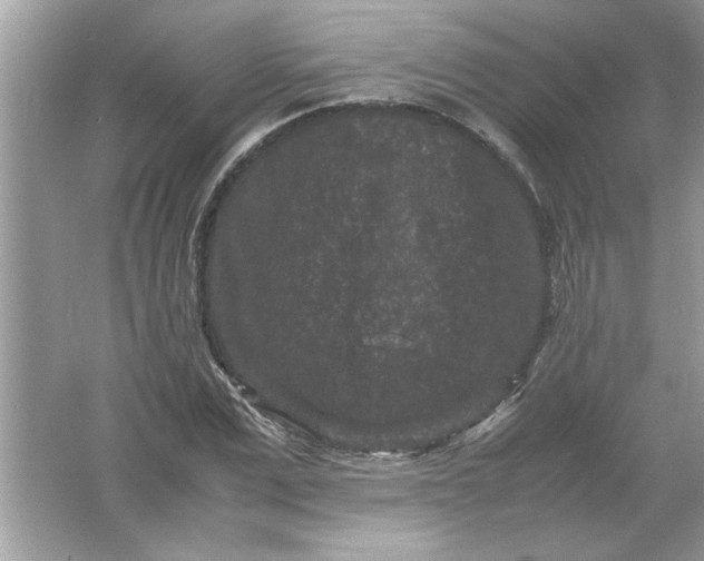 X0000061760975200512161739