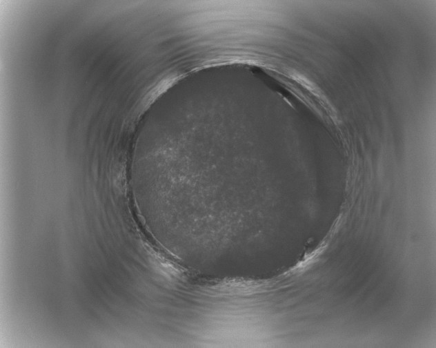 X0000061760977200512161739