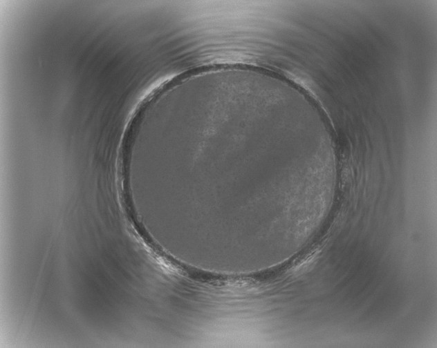 X0000061760979200512161739