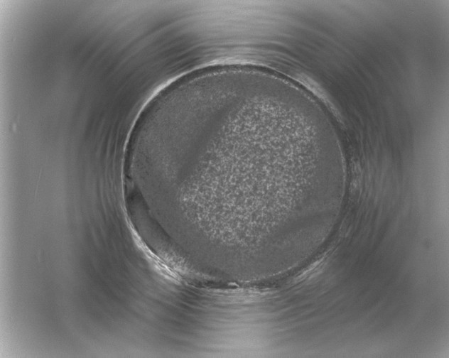 X0000061760980200512161739