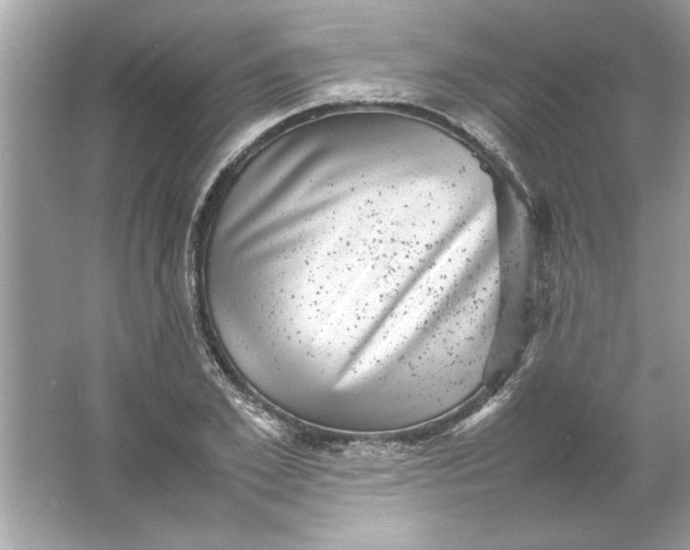 X0000061760981200512161739