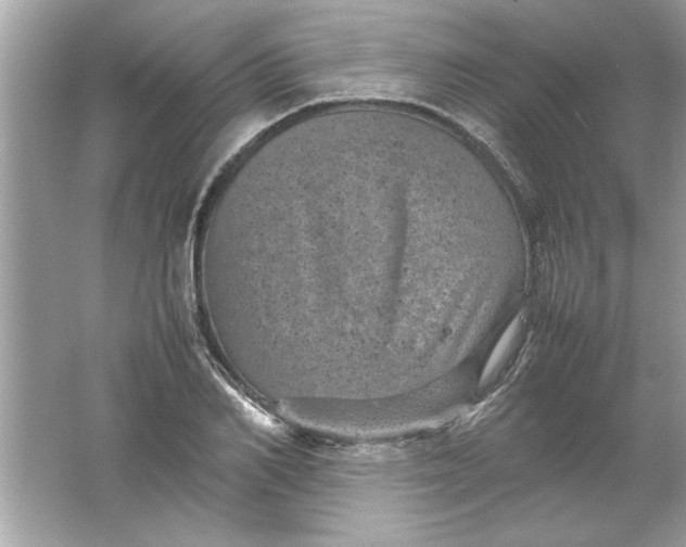 X0000061760982200512161739