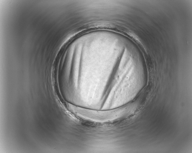 X0000061760983200512161739