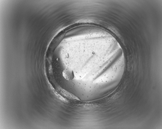 X0000061760984200512161739