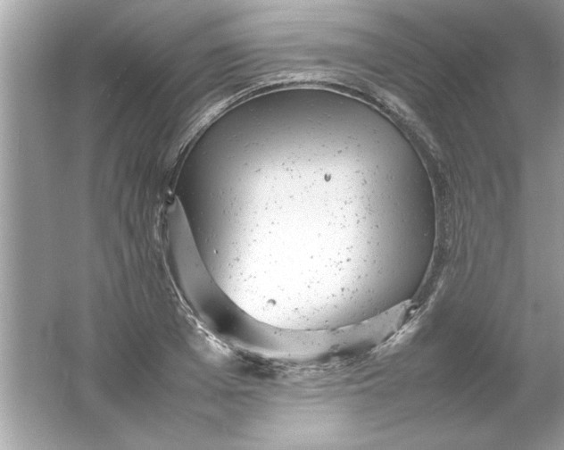 X0000061760985200512161739