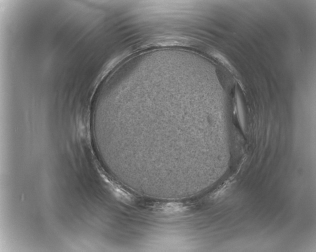 X0000061760986200512161739