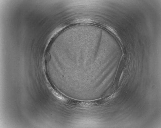 X0000061760987200512161739