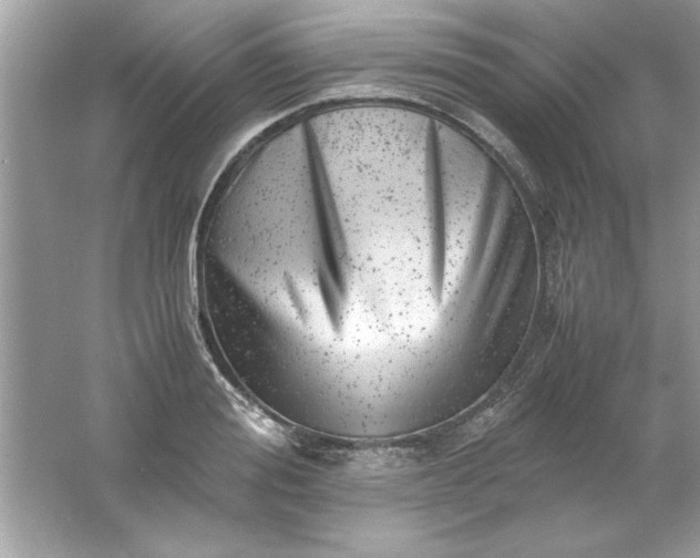 X0000061760988200512161739