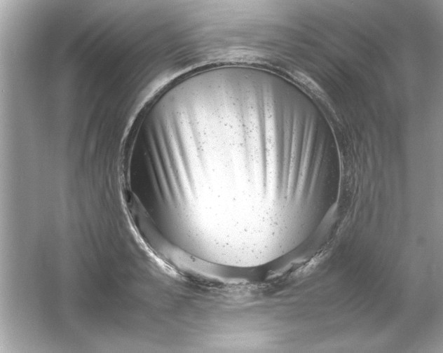 X0000061760989200512161739