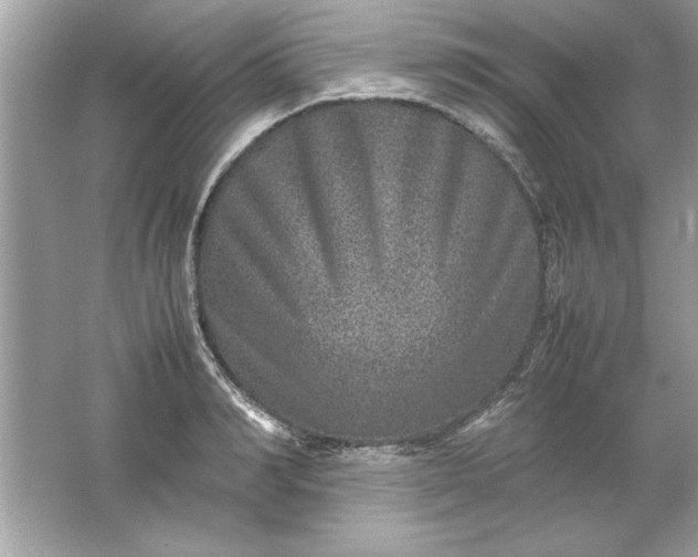 X0000061760990200512161739